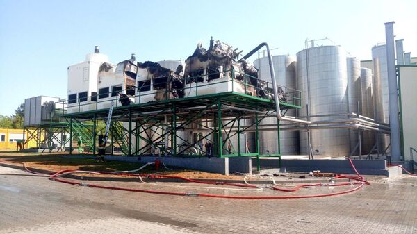 Огонь охватил завод в Единцах: с пламенем боролись несколько спецрасчетов - Sputnik Молдова