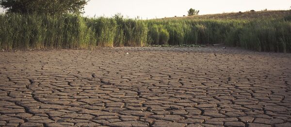 Iaz care a secat - Sputnik Moldova