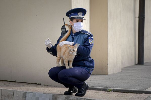 Женщина-полицейский играет с кошкой возле церкви в Вербное воскресенье в Бухаресте, Румыния - Sputnik Молдова