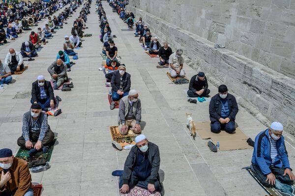 Кот среди верующих, соблюдающих социальную дистанцию, на пятничной молитве возле мечети Фатих в Стамбуле, Турция - Sputnik Moldova
