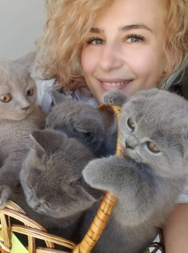 Cum o pisică îți poate schimba viața – povestea felinei Alisa Cum o pisică îți poate schimba viața – povestea felinei Alisa - Sputnik Moldova