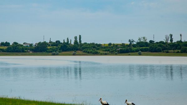 Lacul de acumulare Costești-Stânca - Sputnik Молдова