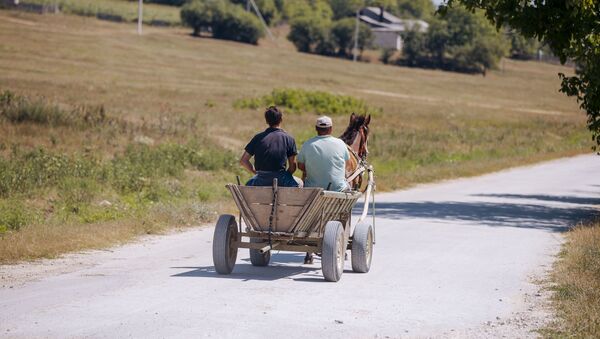 Căruță cu cal satul Leordoaia, raionul Călărași - Sputnik Молдова