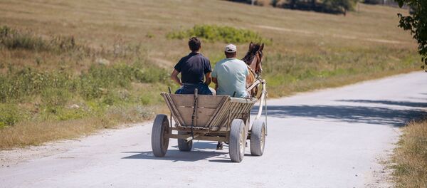 Căruță cu cal satul Leordoaia, raionul Călărași Căruță cu cal satul Leordoaia, raionul Călărași - Sputnik Moldova