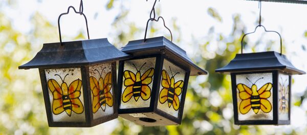 Пасека в Молдове - Sputnik Moldova