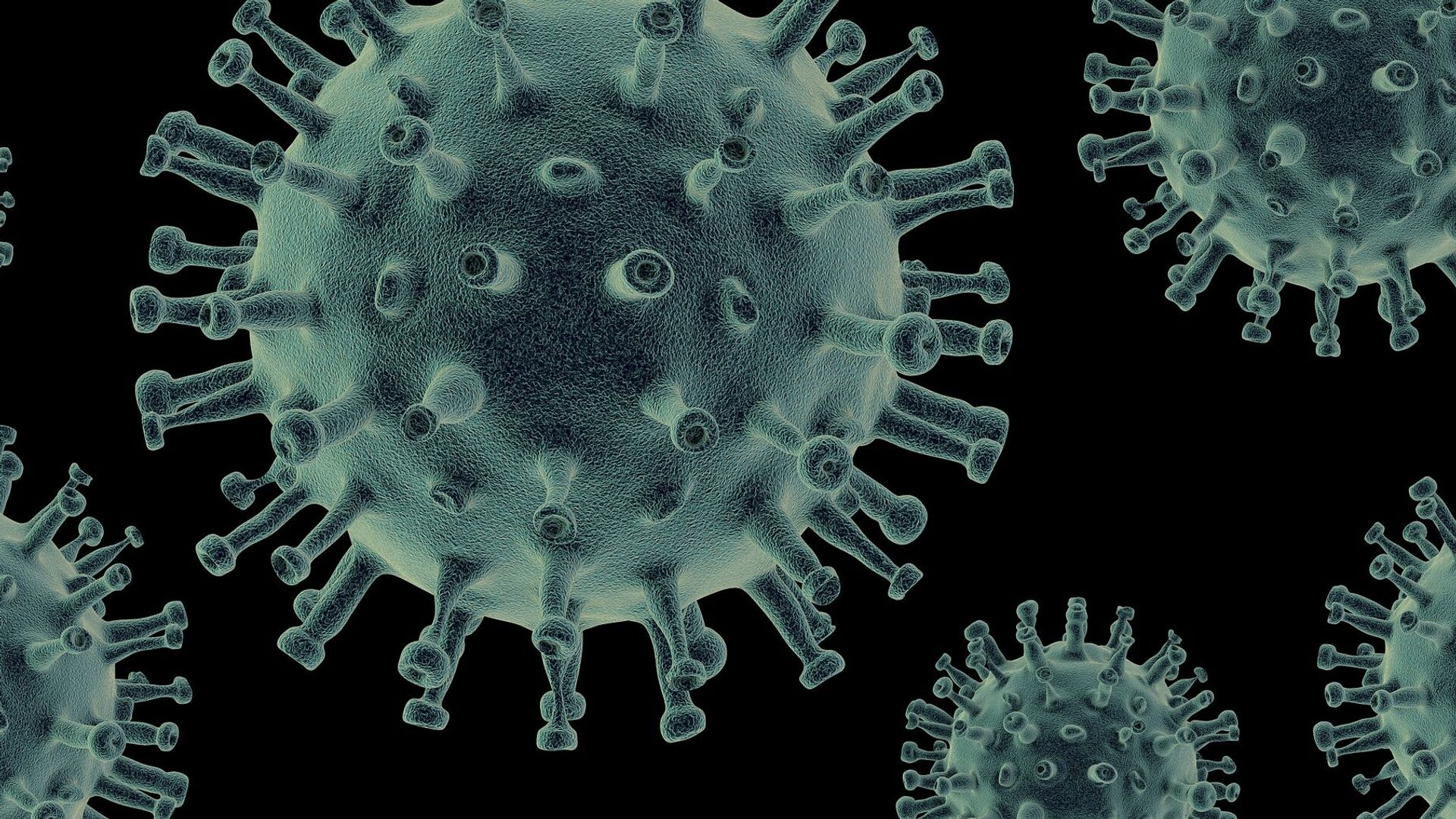 Virus - Sputnik Moldova, 1920, 05.01.2025