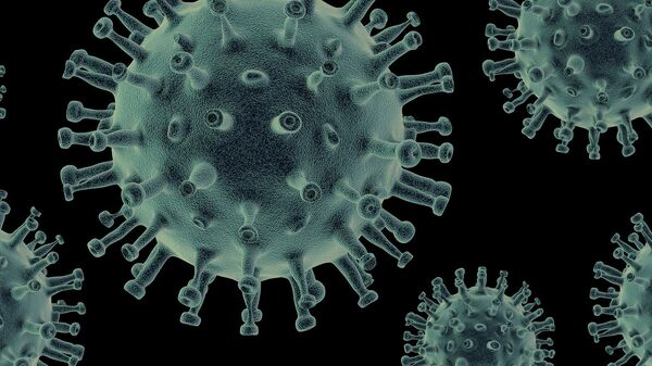 Virus - Sputnik Moldova-România