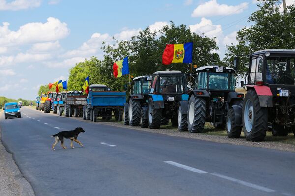 Сельхозпроизводители Молдовы вновь вышли на протесты. - Sputnik Молдова