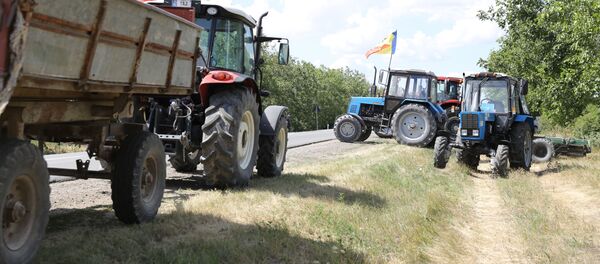  Agricultorii din sud-estul țării protestează la intrarea în orașul Căușeni  - Sputnik Moldova