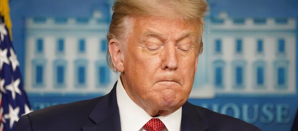 Президент США Дональд Трамп на пресс-конференции в Белом доме Президент США Дональд Трамп на пресс-конференции в Белом доме - Sputnik Moldova-România