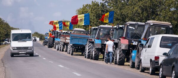 Протесты аграриев в Кэушень - Sputnik Moldova