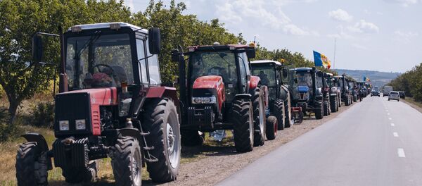 Протесты аграриев в Кэушень - Sputnik Moldova