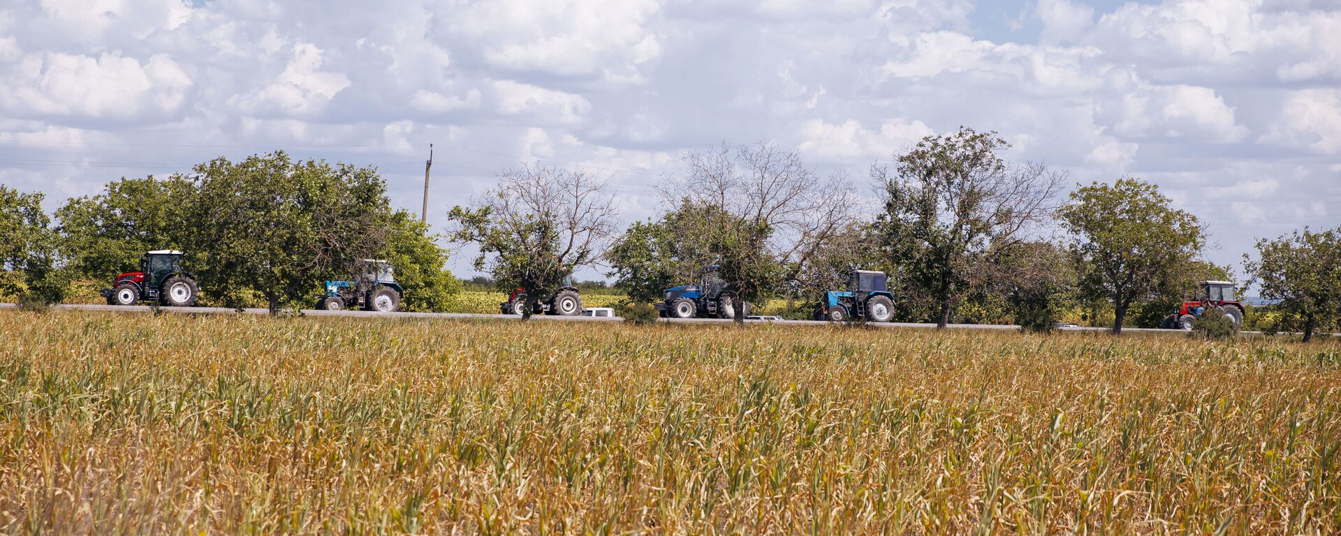 Снова скрининг: успехи сельского хозяйства Молдовы изучат в Брюсселе - Sputnik Молдова, 1920, 06.09.2025