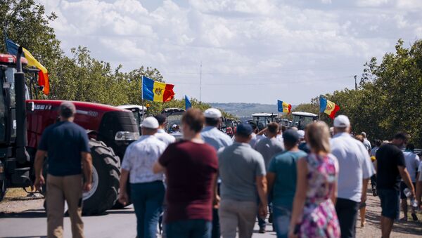 Протесты аграриев в Кэушень - Sputnik Молдова