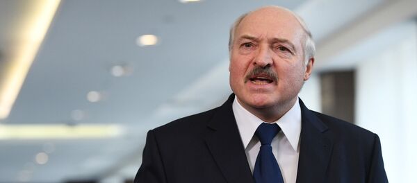 Рабочая поездка президента РФ В. Путина в Сочи Рабочая поездка президента РФ В. Путина в Сочи - Sputnik Moldova-România