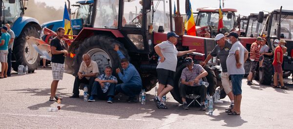 Agricultorii protestează la intrarea în Chișinău cu tehnica agricolă Agricultorii protestează la intrarea în Chișinău cu tehnica agricolă - Sputnik Moldova