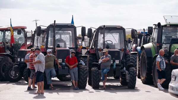 Agricultorii protestatari au blocat drumul național Hâncești-Chișinău în preajma lacului Dănceni - Sputnik Moldova