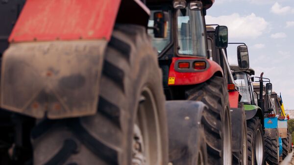 Будет реакция: фермеры - о скандале вокруг ввоза украинского зерна в Молдову  - Sputnik Молдова