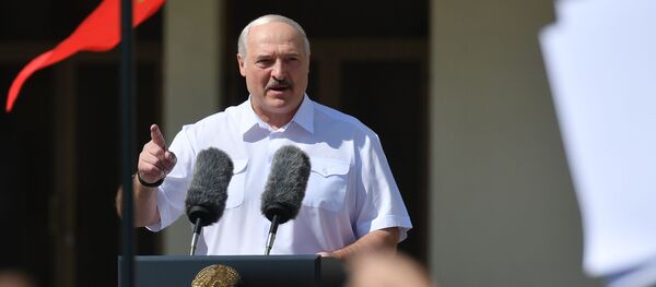 Митинг в поддержку действующего президента Белоруссии А. Лукашенко в Минске - Sputnik Moldova-România