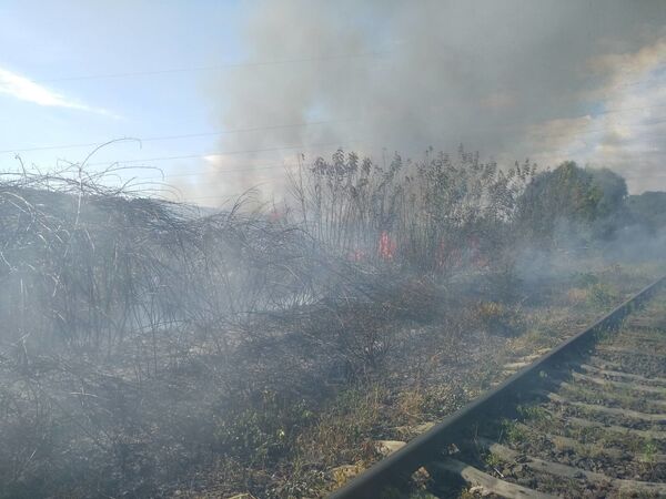 Video - Incendiu pe calea ferată: S-a intervenit cu un tren pentru a stinge flăcările Video - Incendiu pe calea ferată: S-a intervenit cu un tren pentru a stinge flăcările - Sputnik Moldova