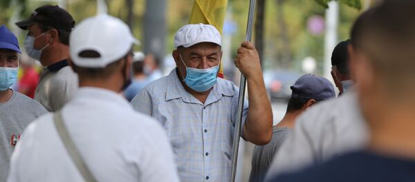 Протесты фермеров у здания парламента - Sputnik Молдова