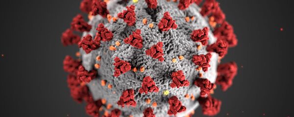 Вирус Вирус - Sputnik Moldova