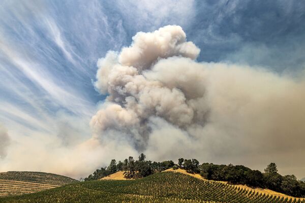 Дым от лесных пожаров над виноградником в округе Напа, Калифорния - Sputnik Moldova-România