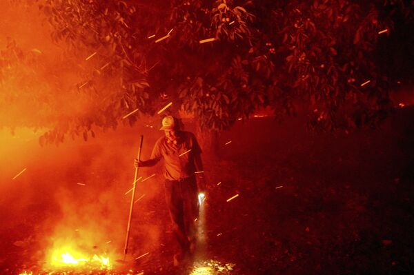 84-летний Билл Николс пытается спасти свой дом во время лесных пожаров в Вакавилле, Калифорния - Sputnik Moldova-România