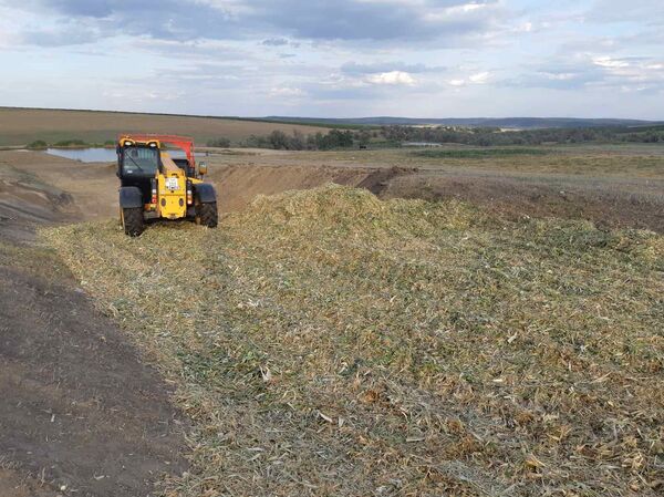 Аграрий из Гагаузии: почему из Молдовы не вышло Израиля - Sputnik Молдова