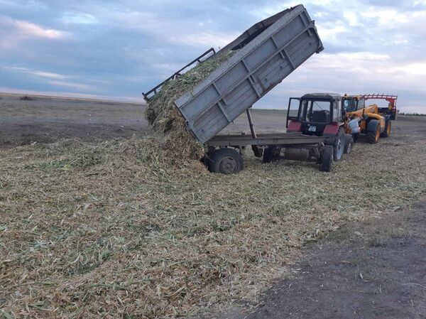 Аграрий из Гагаузии: почему из Молдовы не вышло Израиля - Sputnik Молдова