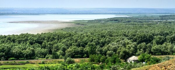  Заповедник Нижний Прут - Sputnik Moldova