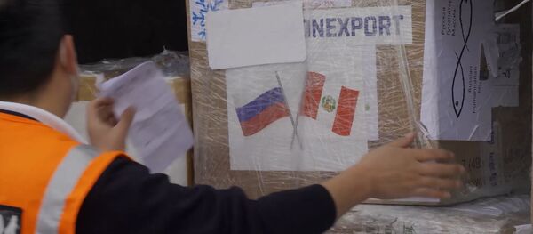 Россия передала Перу тесты на коронавирус. В Лиме сделали заказ на вакцину - Sputnik Молдова