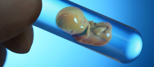 Модель эмбриона в пробирке - Sputnik Moldova