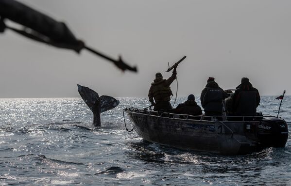 Китобои во время охоты на кита в Беринговом проливе - Sputnik Молдова