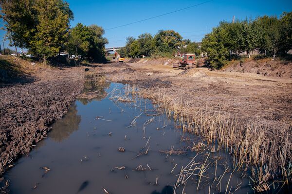 Очистка реки Бык в Кишиневе - Sputnik Молдова