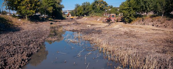 Очистка реки Бык в Кишиневе Очистка реки Бык в Кишиневе - Sputnik Молдова