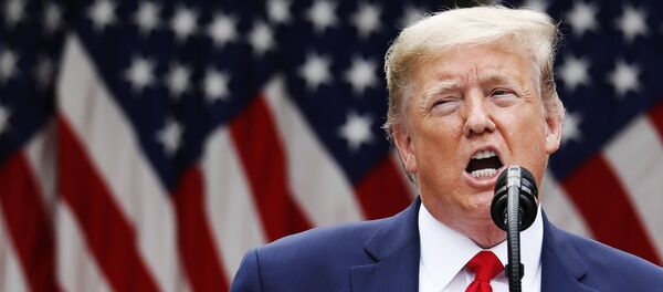 Брифинг президента США Дональда Трампа Брифинг президента США Дональда Трампа - Sputnik Молдова