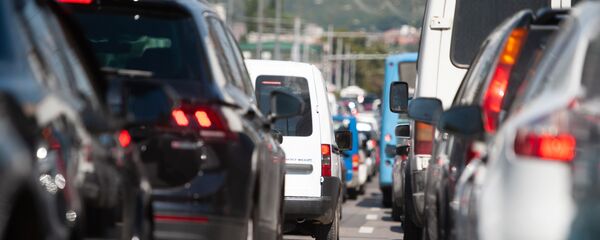 Пробка  - Sputnik Молдова