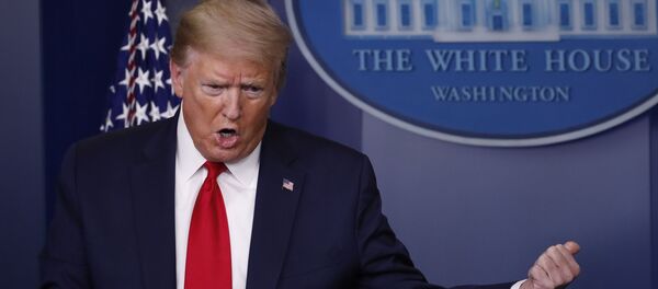 Президент США Дональд Трамп Президент США Дональд Трамп - Sputnik Молдова