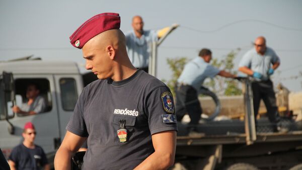 Polițist maghiar la frontieră, imagine din arhivă - Sputnik Moldova-România