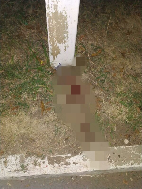 Accident la Ștefan Vodă: Tânără luată pe capota mașinii de un șofer beat - Foto Accident la Ștefan Vodă: Tânără luată pe capota mașinii de un șofer beat - Foto - Sputnik Moldova