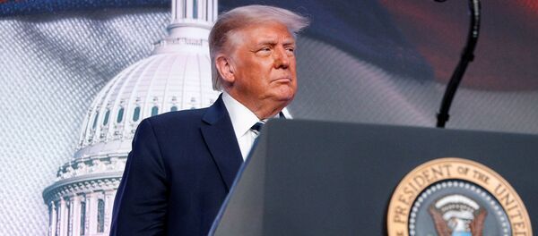 Президент США Дональд Трамп, фото из архива - Sputnik Moldova-România