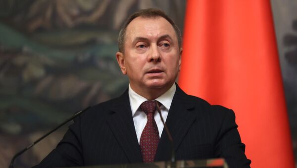 Макей заявил о предотвращении попытки цветной революции в Беларуси - Sputnik Молдова