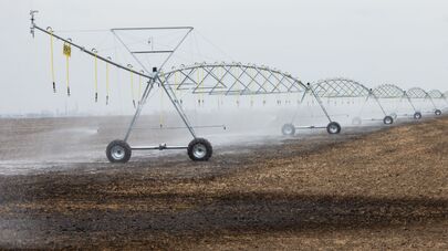 Сельхозугодья Тираспольского комбината хлебопродуктов