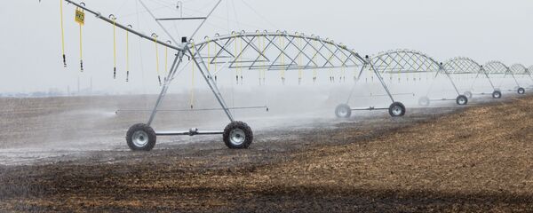 Сельхозугодья Тираспольского комбината хлебопродуктов - Sputnik Молдова