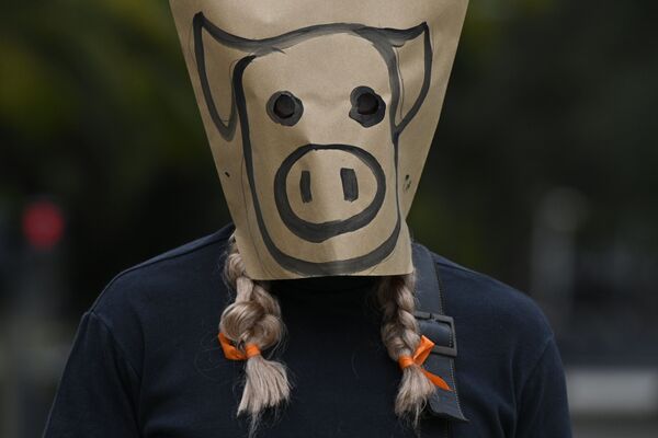 Мужчина в маске из бумажного пакета на протеста против соглашения между Аргентиной и Китаем о производстве свиней на экспорт, Буэнос-Айрес - Sputnik Молдова