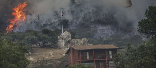 Incendiu de vegetație în California - Sputnik Moldova