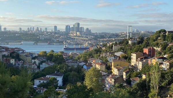 Вид на Стамбул с холма - Sputnik Молдова