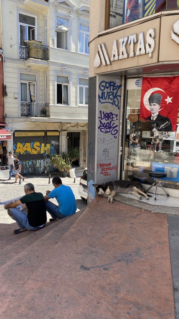 Улица в Стамбуле - Sputnik Moldova-România