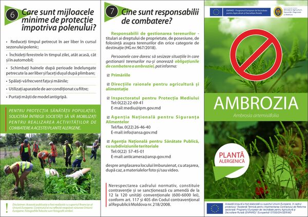 Planta care le transformă unor moldoveni viața în iad – Important să cunoști Planta care le transformă unor moldoveni viața în iad – Important să cunoști - Sputnik Moldova